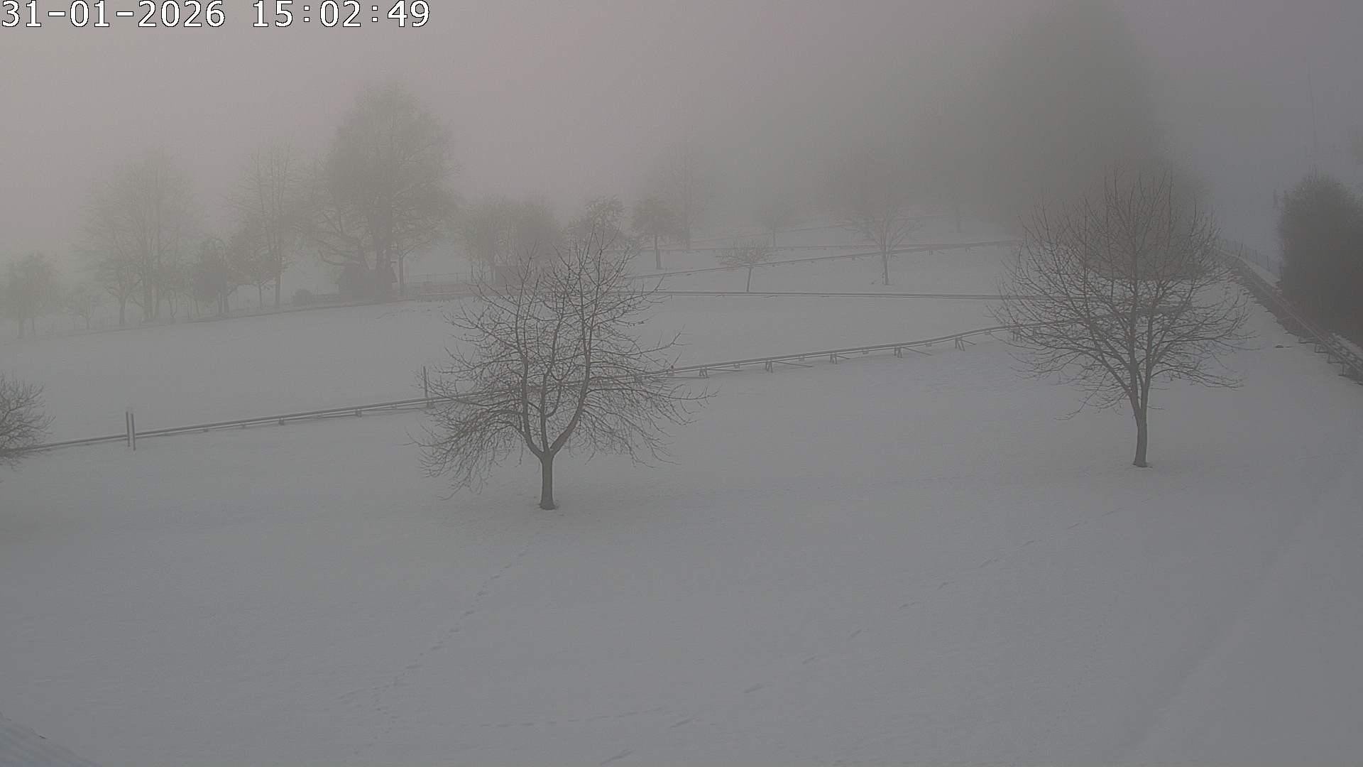 Archiv Foto Webcam Römerstein Bobbahn