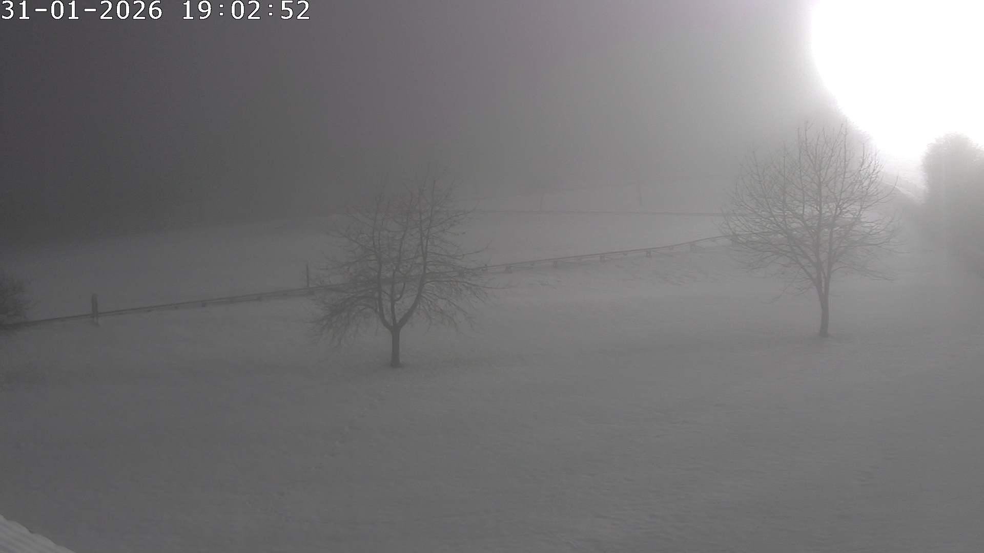 Archiv Foto Webcam Römerstein Bobbahn