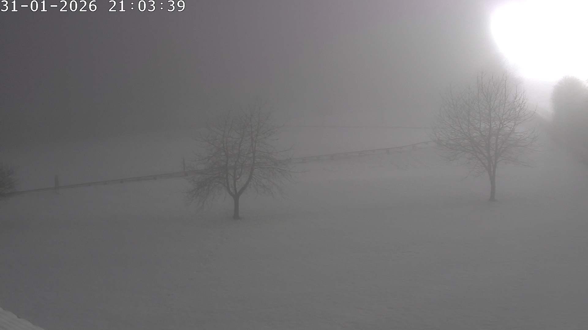 Archiv Foto Webcam Römerstein Bobbahn