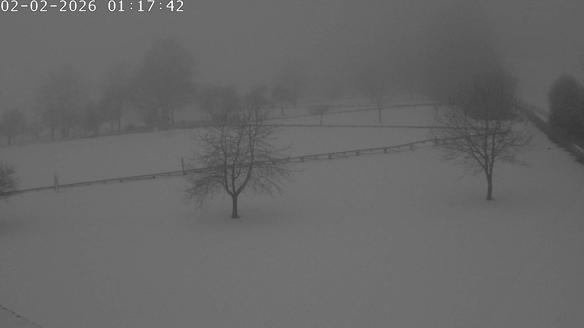 Archiv Foto Webcam Römerstein Bobbahn