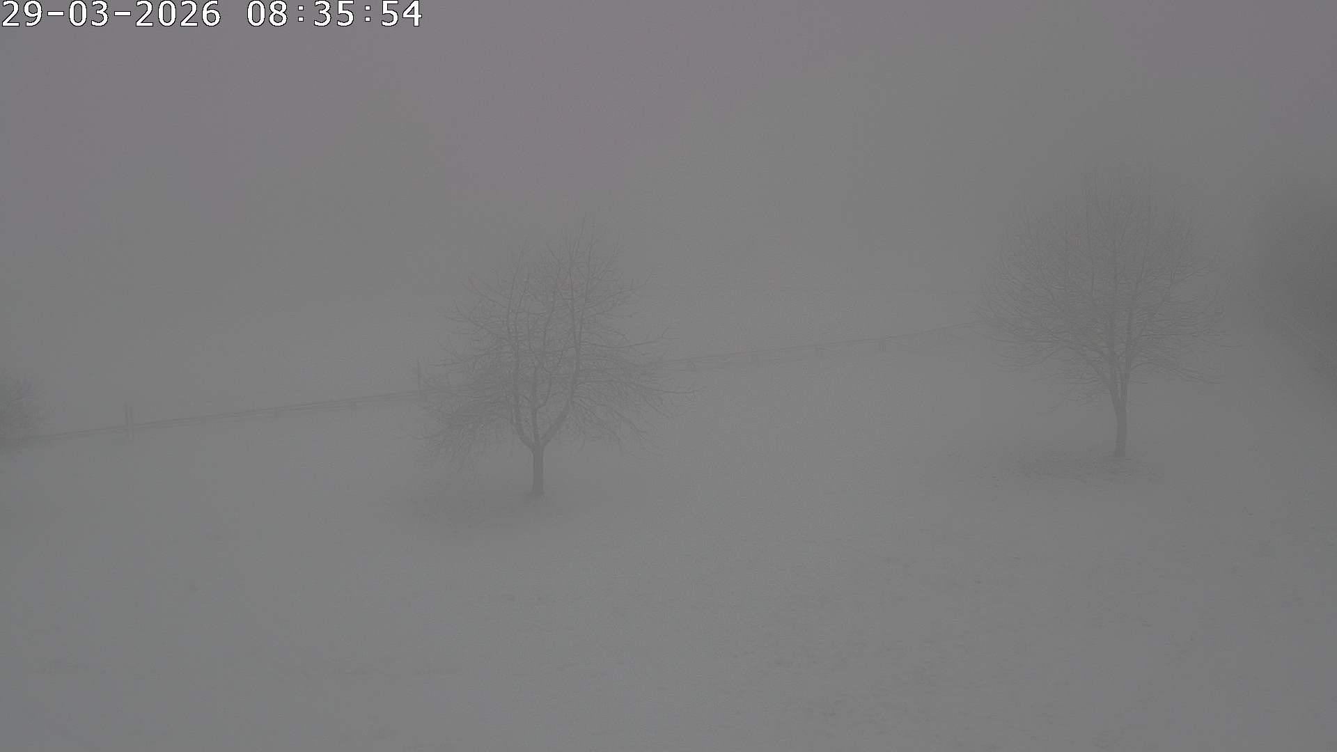 Archiv Foto Webcam Römerstein Bobbahn