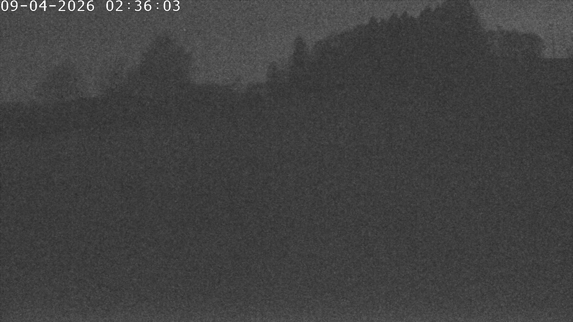 Archiv Foto Webcam Römerstein Bobbahn