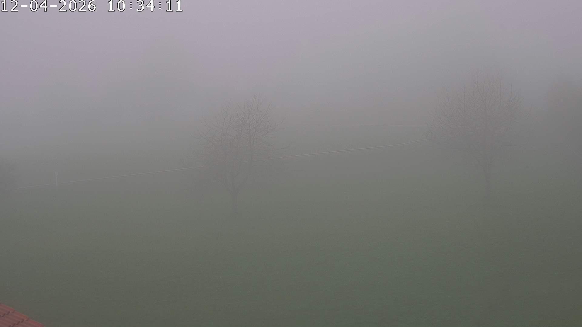 Archiv Foto Webcam Römerstein Bobbahn