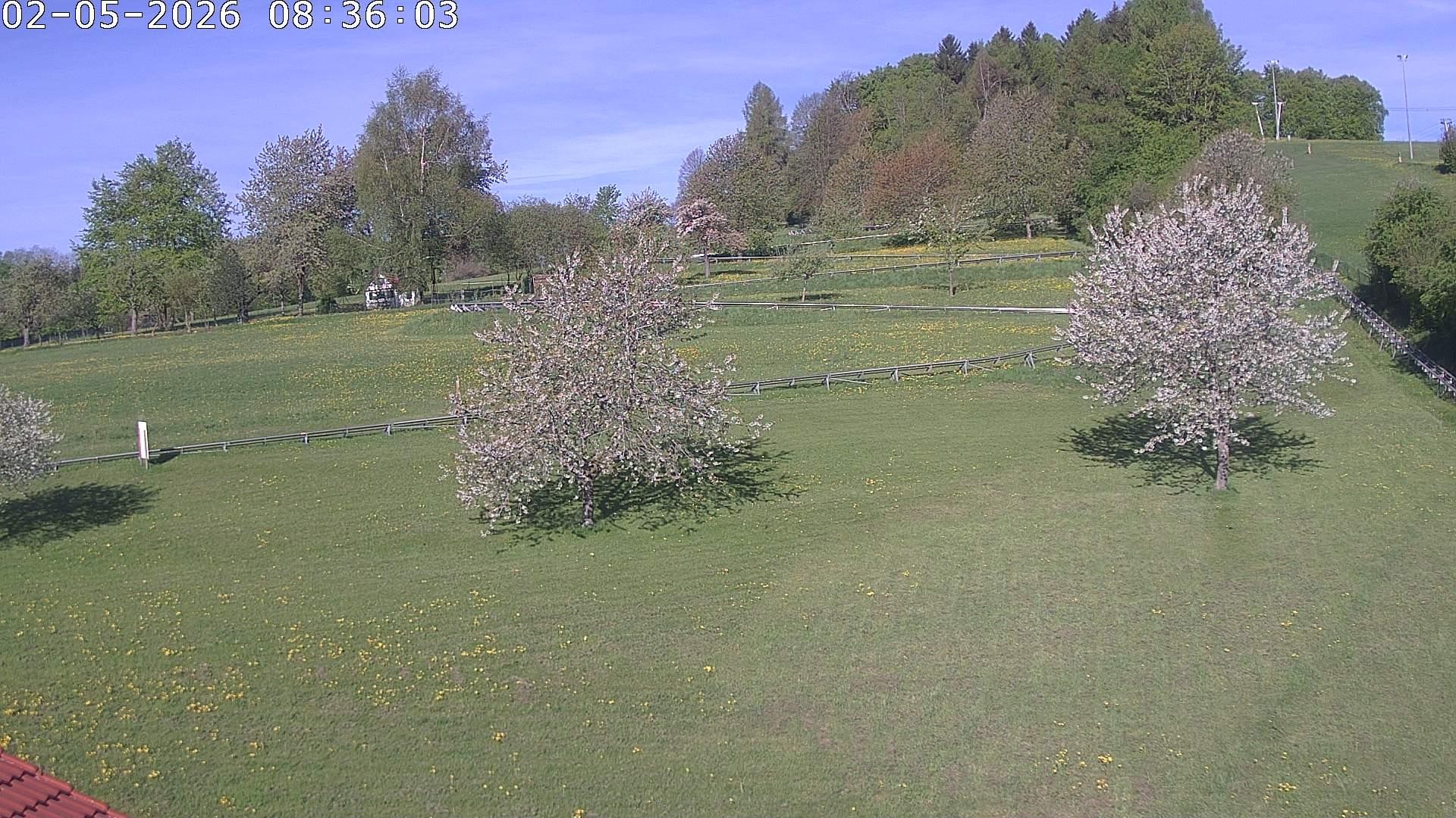 Archiv Foto Webcam Römerstein Bobbahn