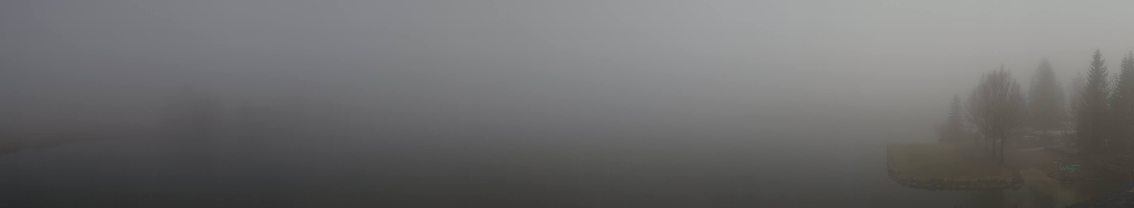 Archiv Foto Webcam Walchsee im Kaiserwinkl (Tirol)