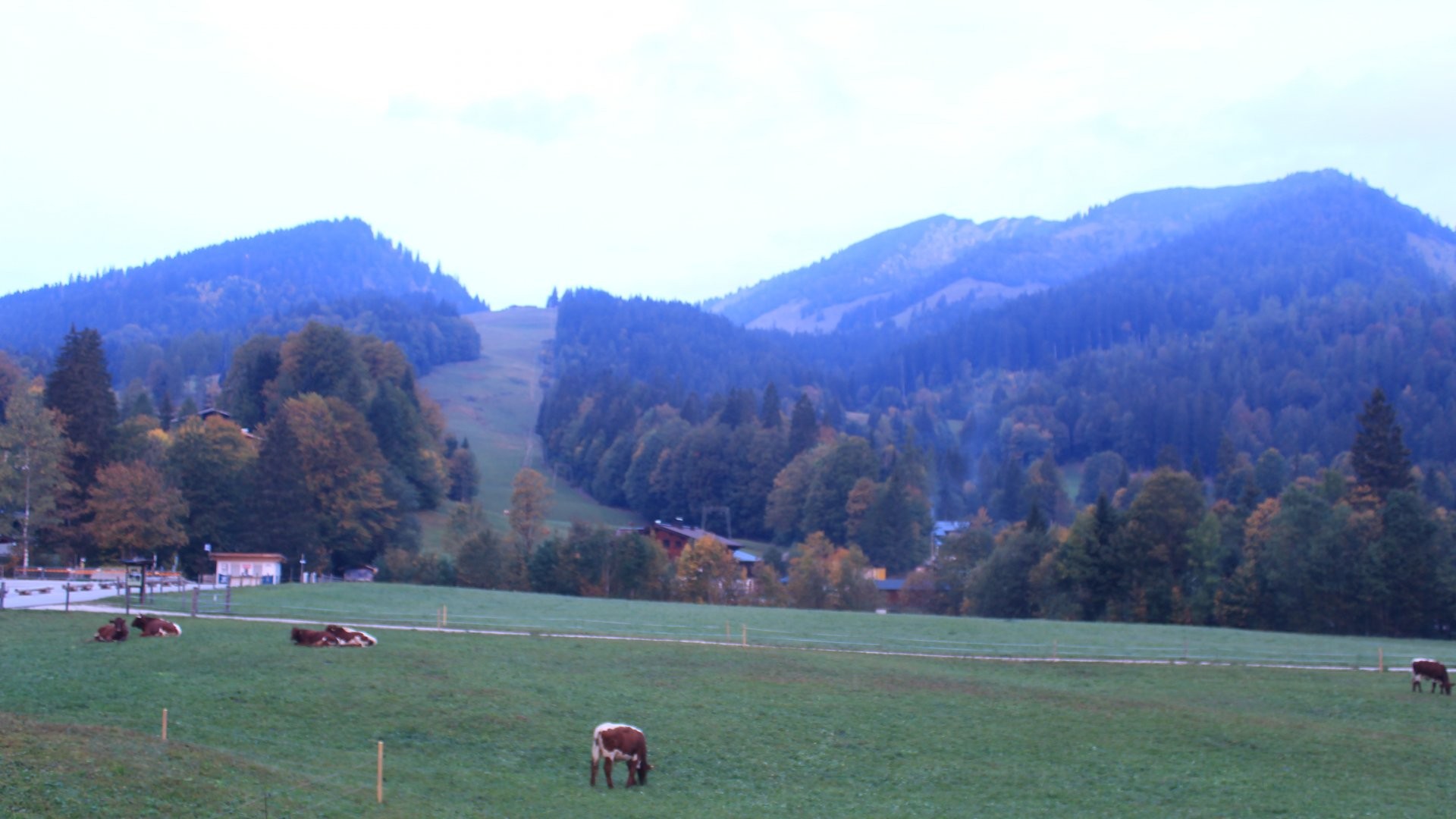 Archiv Foto Webcam Unken: Heutal Bergstation