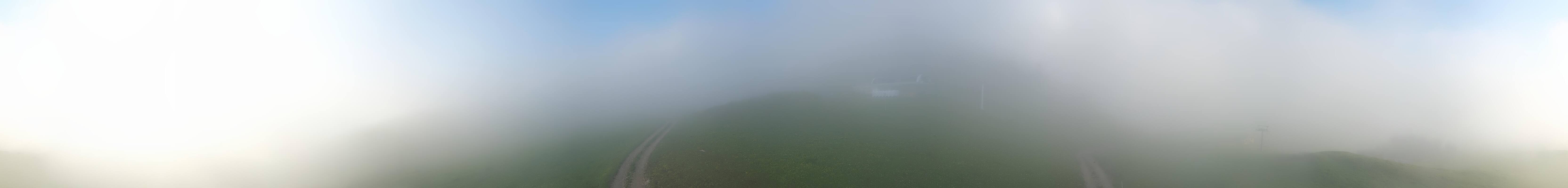 Archiv Foto Webcam Goldknopf auf der Seiser Alm
