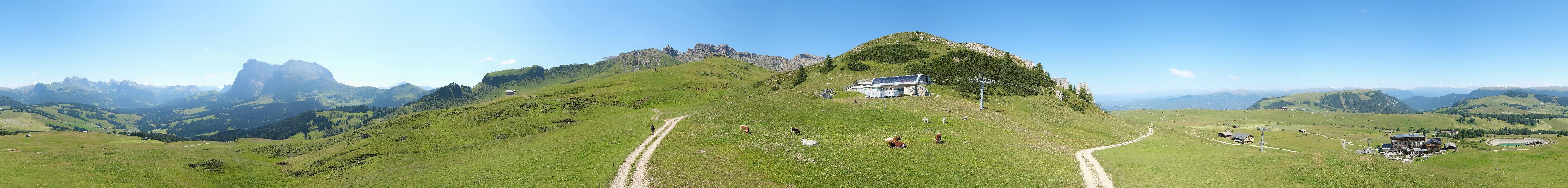Archiv Foto Webcam Goldknopf auf der Seiser Alm