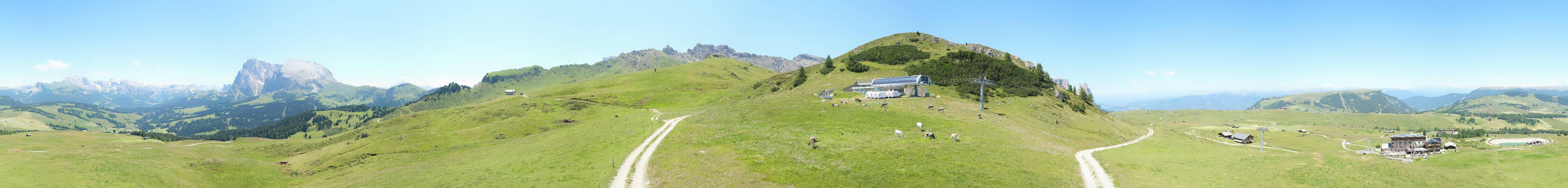 Archiv Foto Webcam Goldknopf auf der Seiser Alm