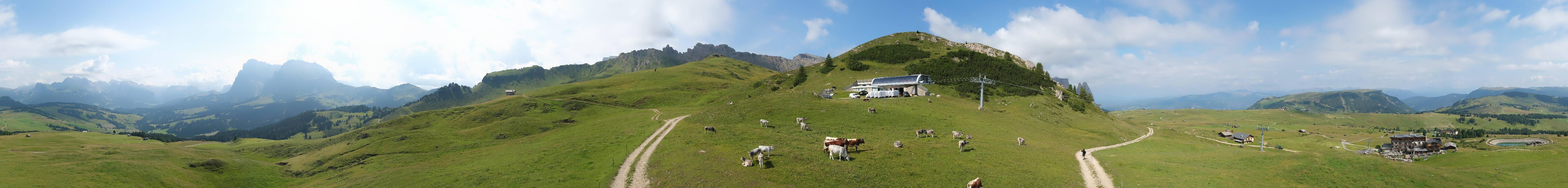 Archiv Foto Webcam Goldknopf auf der Seiser Alm