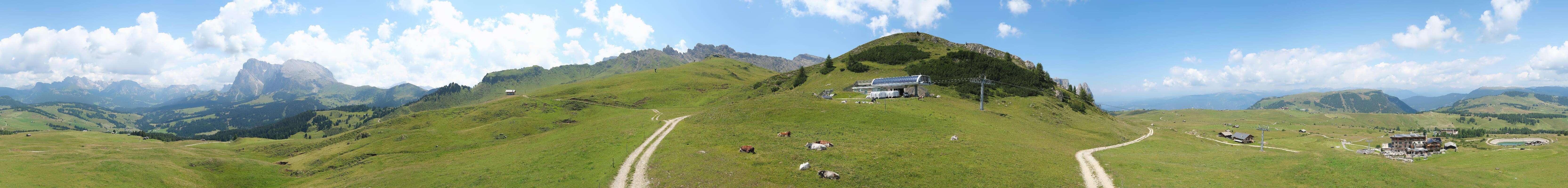 Archiv Foto Webcam Goldknopf auf der Seiser Alm