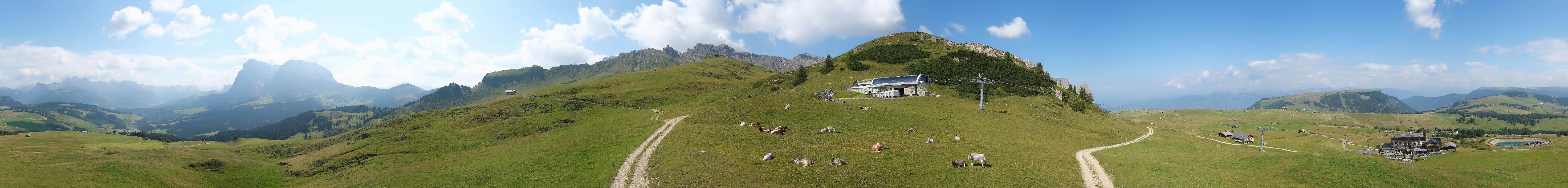 Archiv Foto Webcam Goldknopf auf der Seiser Alm