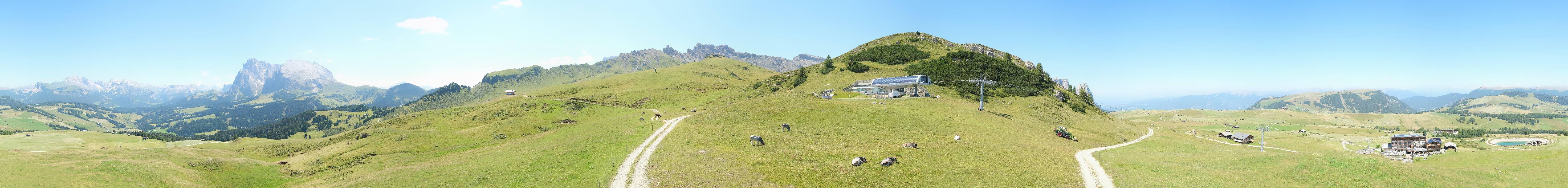 Archiv Foto Webcam Goldknopf auf der Seiser Alm