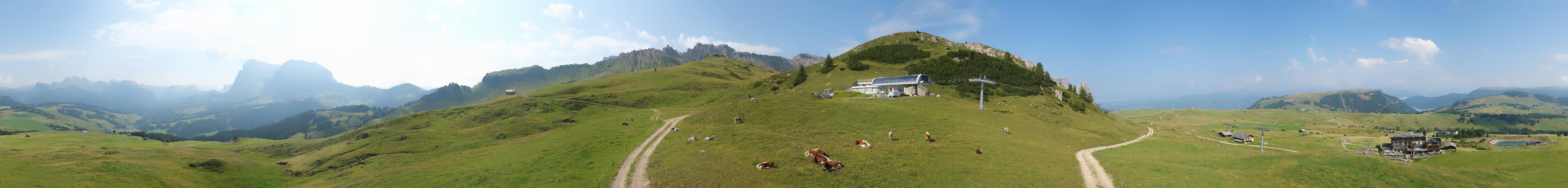 Archiv Foto Webcam Goldknopf auf der Seiser Alm