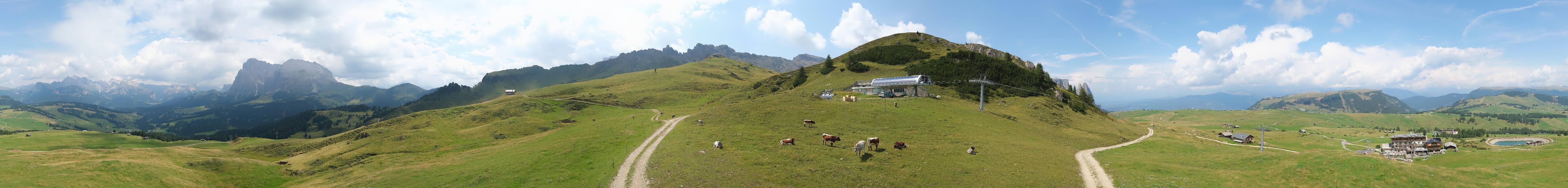 Archiv Foto Webcam Goldknopf auf der Seiser Alm