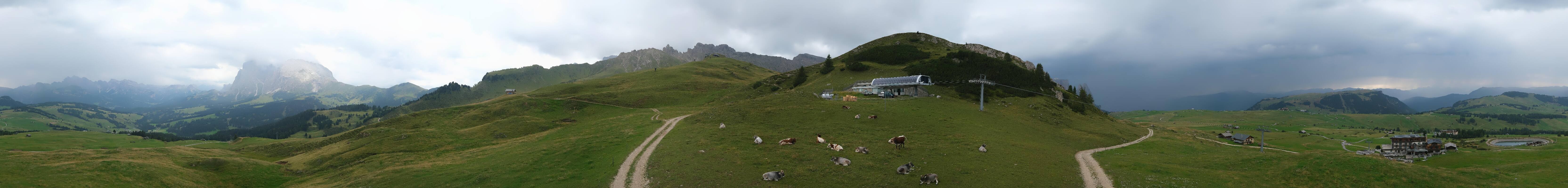 Archiv Foto Webcam Goldknopf auf der Seiser Alm