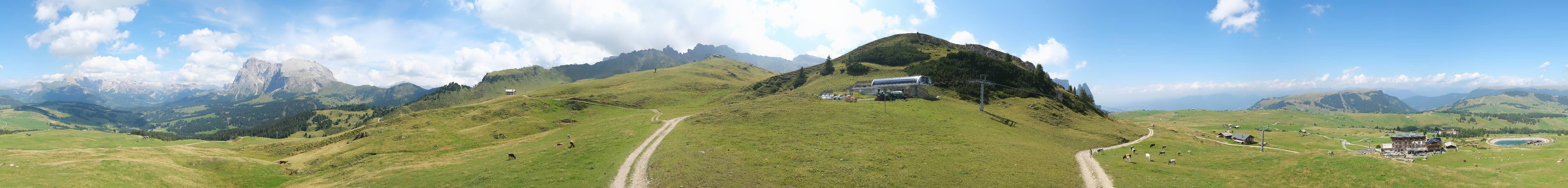 Archiv Foto Webcam Goldknopf auf der Seiser Alm