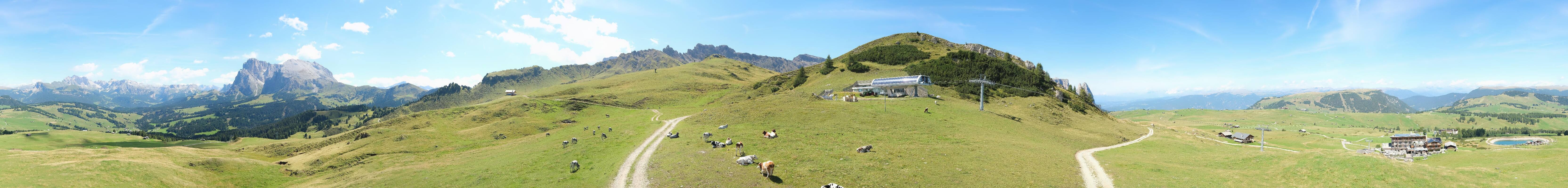 Archiv Foto Webcam Goldknopf auf der Seiser Alm
