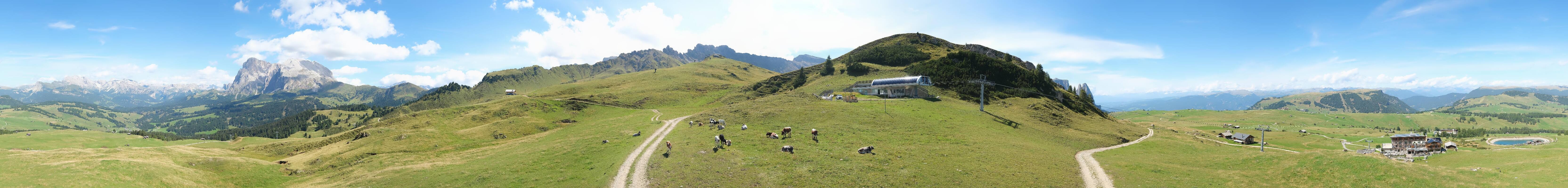 Archiv Foto Webcam Goldknopf auf der Seiser Alm