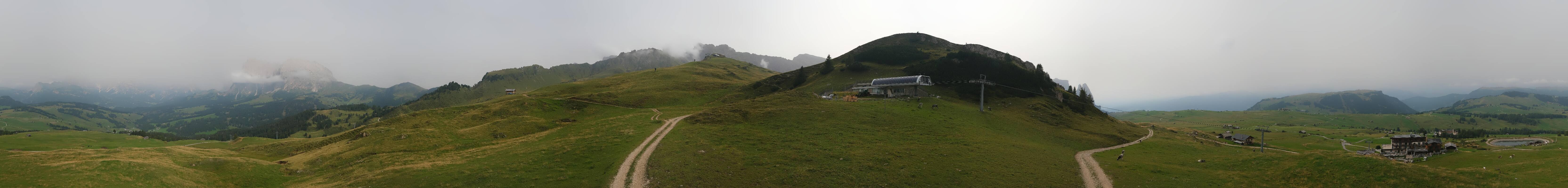Archiv Foto Webcam Goldknopf auf der Seiser Alm