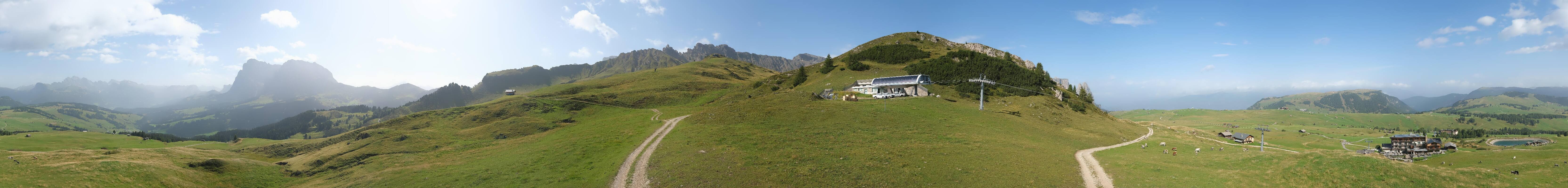 Archiv Foto Webcam Goldknopf auf der Seiser Alm