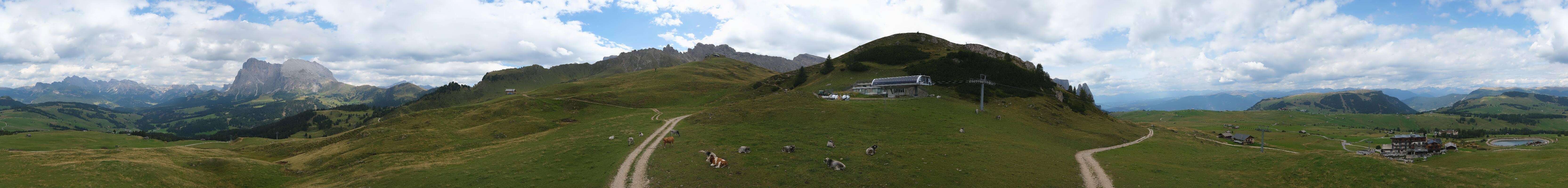 Archiv Foto Webcam Goldknopf auf der Seiser Alm