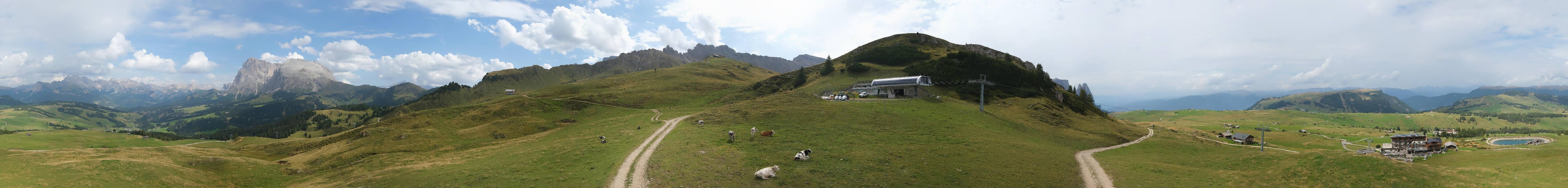 Archiv Foto Webcam Goldknopf auf der Seiser Alm
