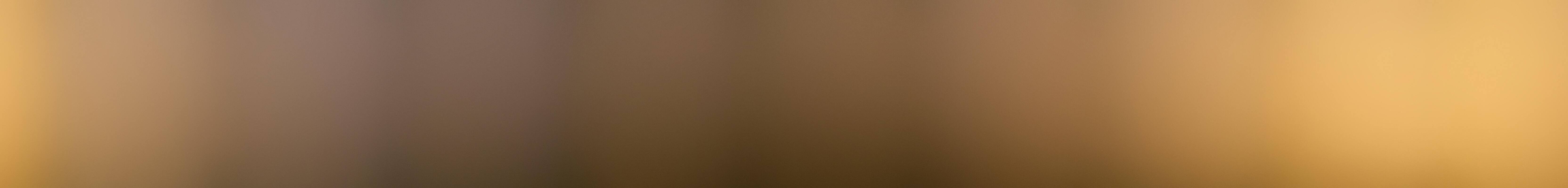 Archiv Foto Webcam Goldknopf auf der Seiser Alm