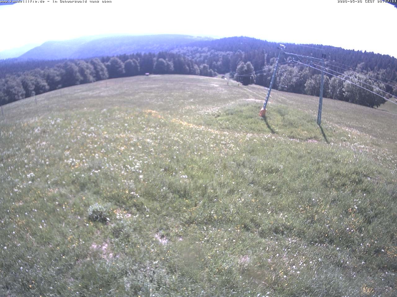 Archiv Foto Webcam Blick Kandellifte