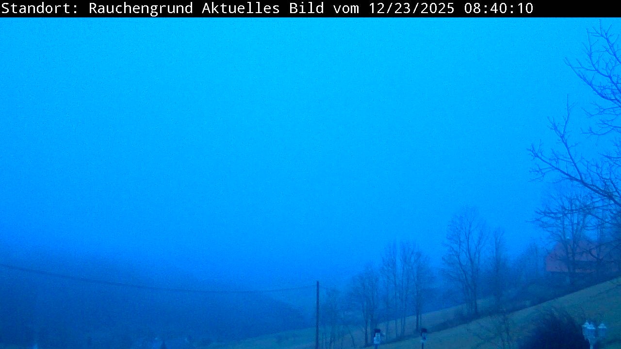 Archiv Foto Webcam Elzach