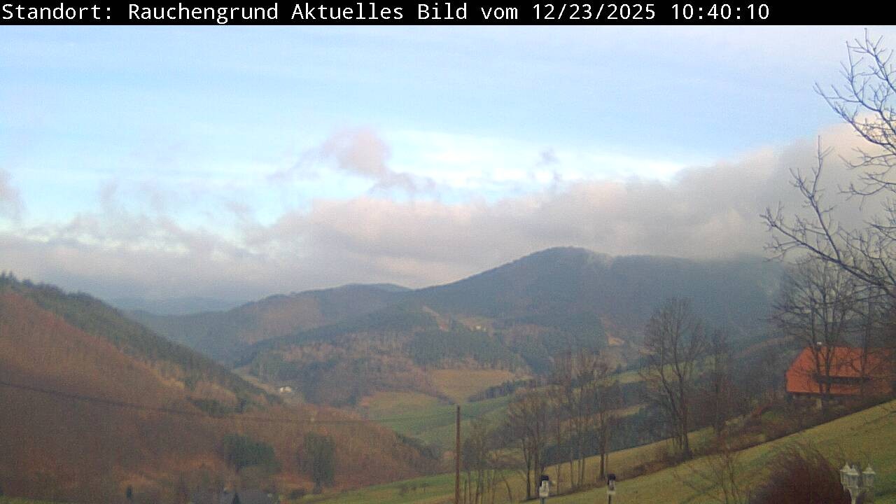 Archiv Foto Webcam Elzach