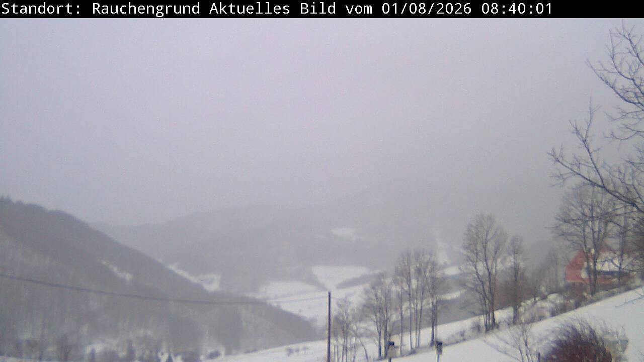 Archiv Foto Webcam Elzach