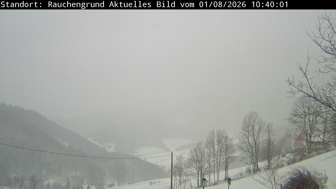 Archiv Foto Webcam Elzach