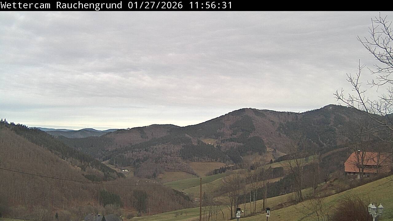 Archiv Foto Webcam Elzach