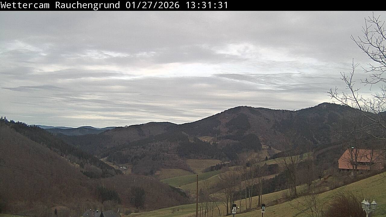 Archiv Foto Webcam Elzach