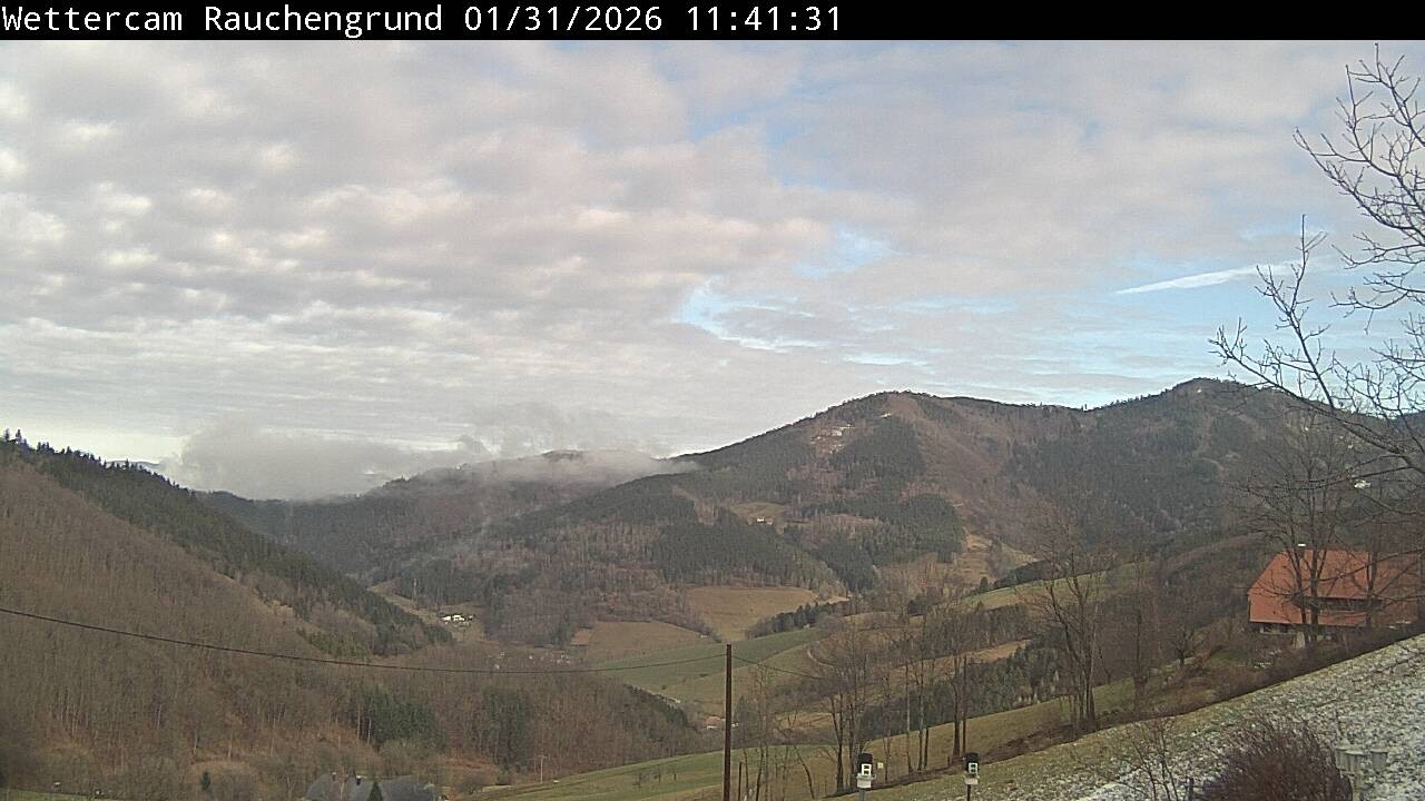 Archiv Foto Webcam Elzach