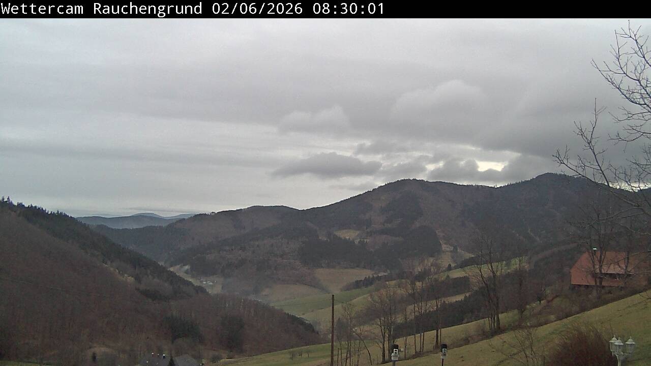 Archiv Foto Webcam Elzach