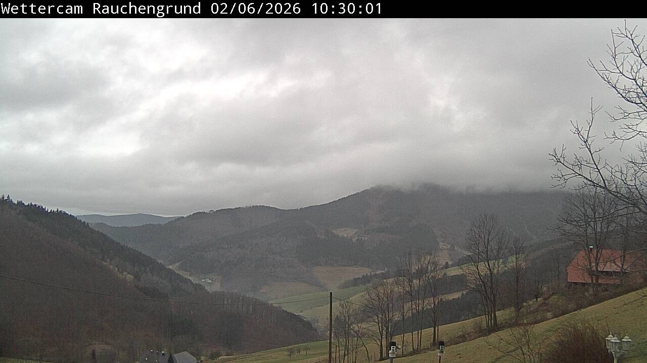 Archiv Foto Webcam Elzach