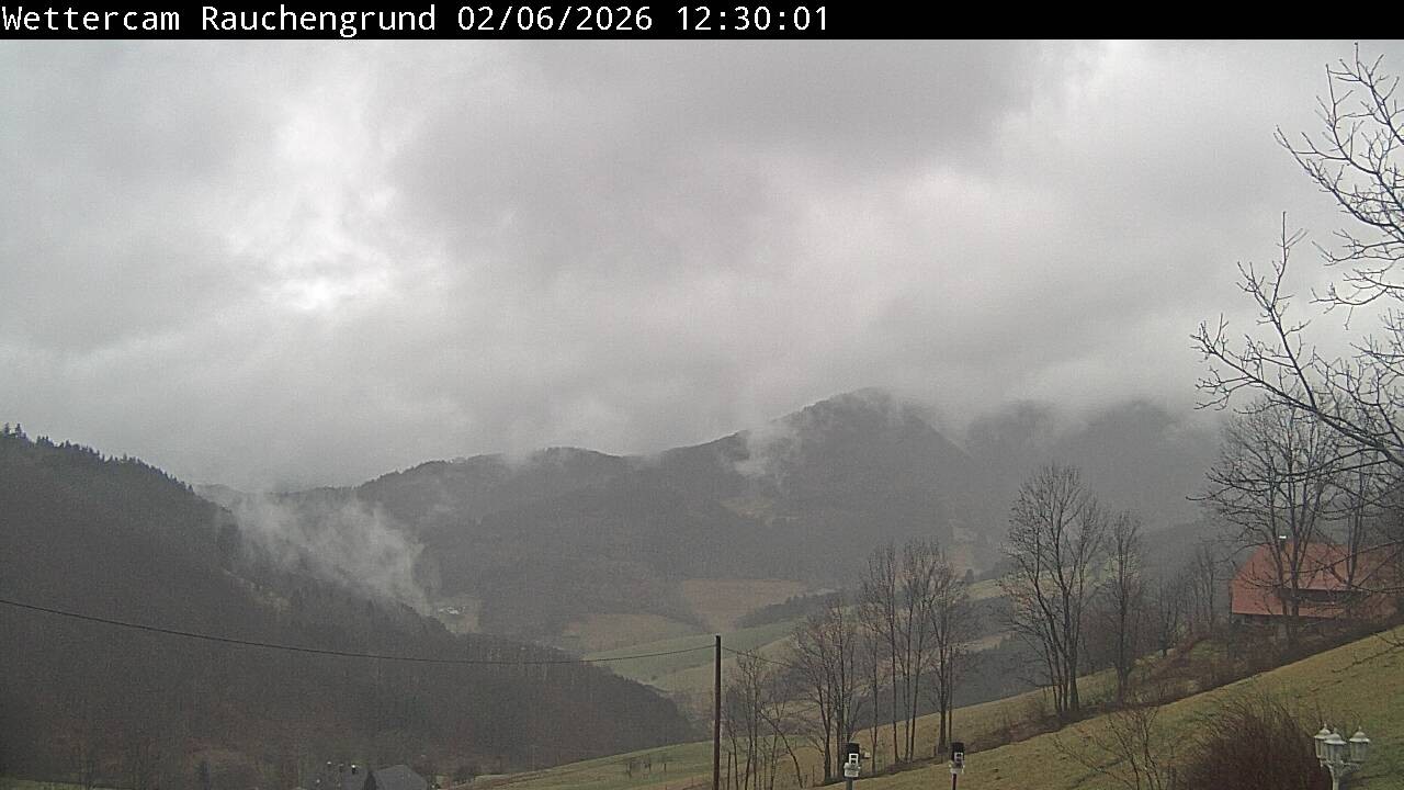 Archiv Foto Webcam Elzach