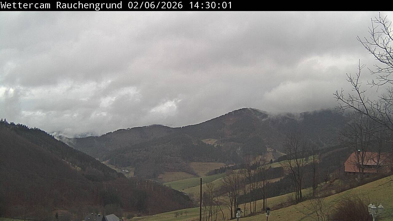 Archiv Foto Webcam Elzach