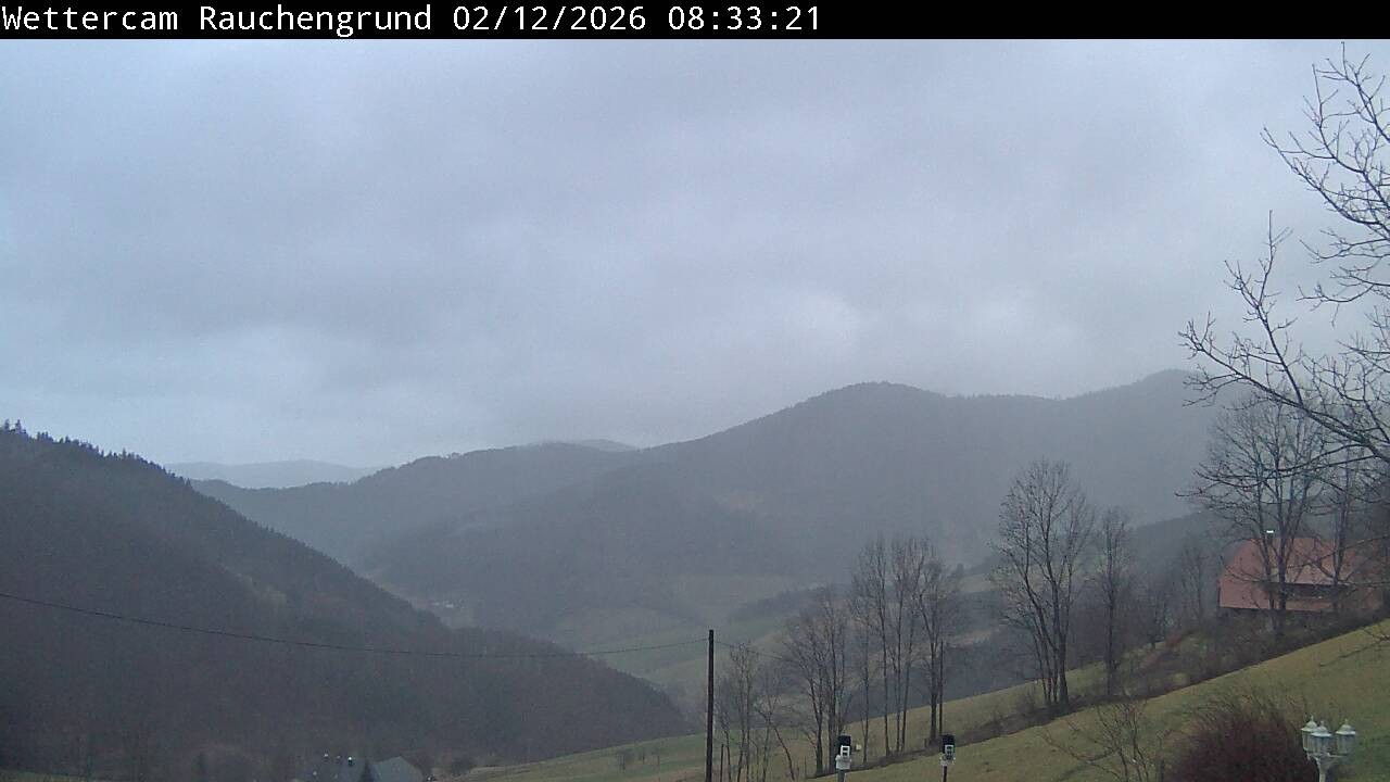 Archiv Foto Webcam Elzach