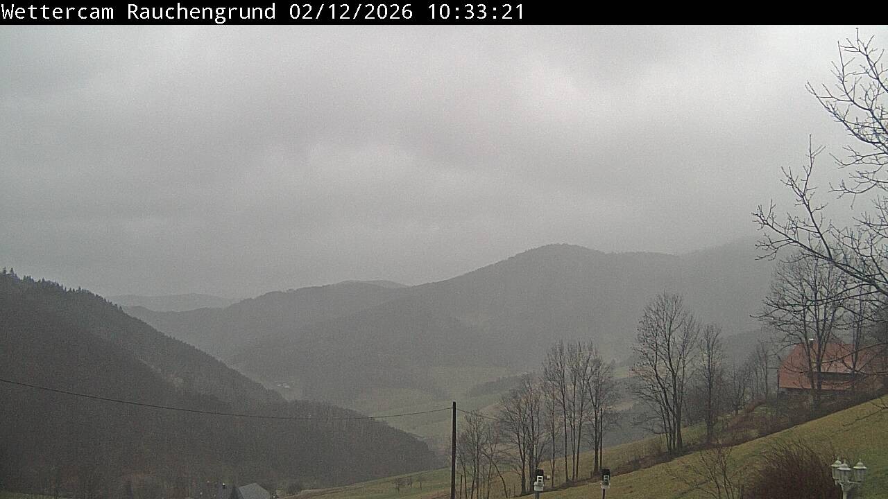 Archiv Foto Webcam Elzach