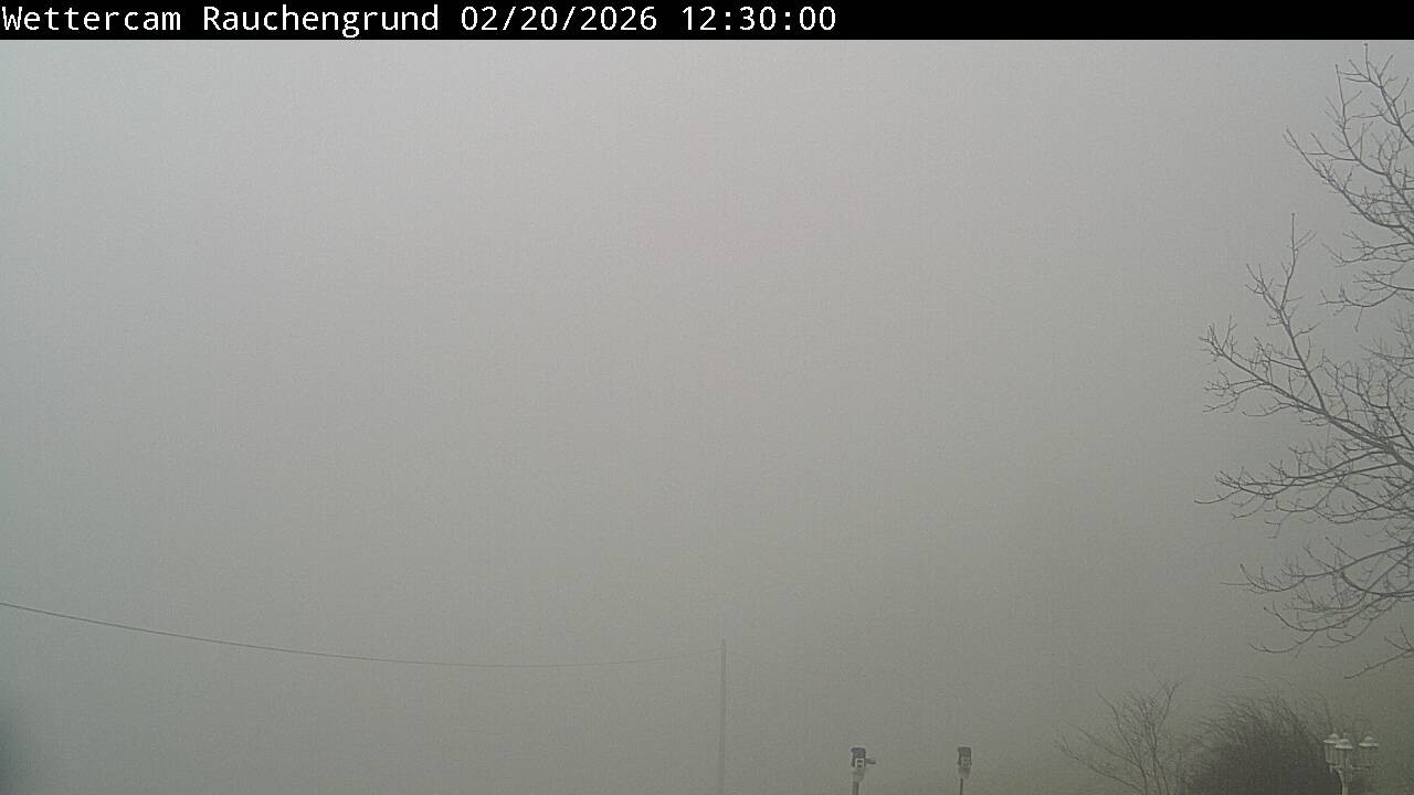 Archiv Foto Webcam Elzach