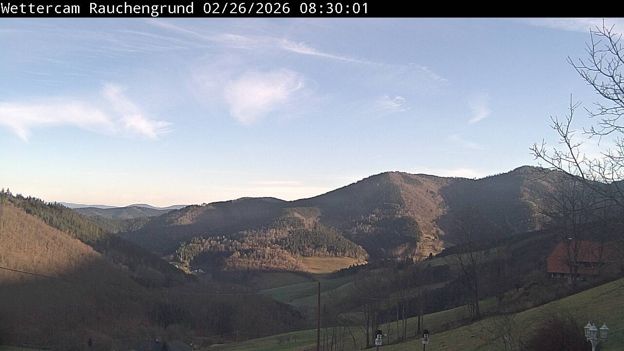 Archiv Foto Webcam Elzach