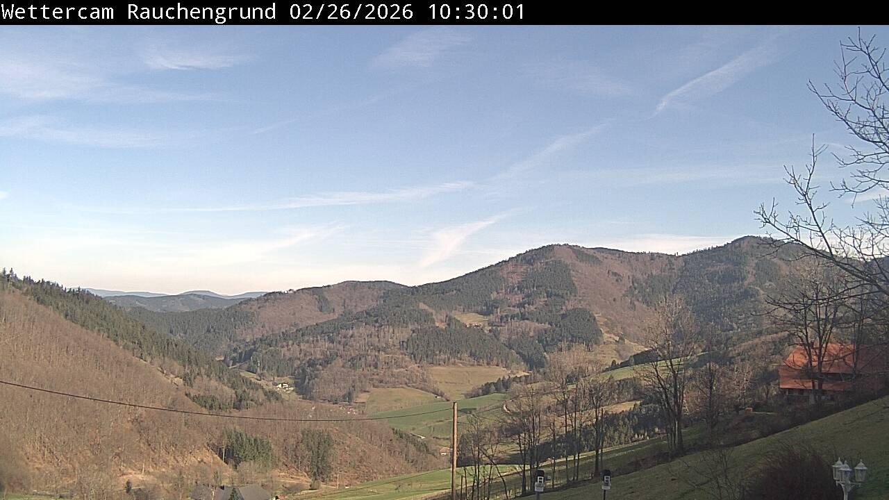 Archiv Foto Webcam Elzach