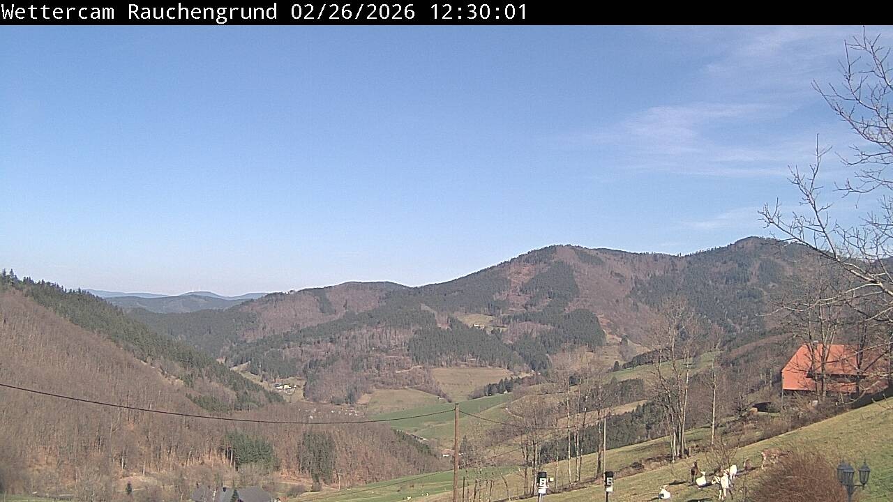 Archiv Foto Webcam Elzach