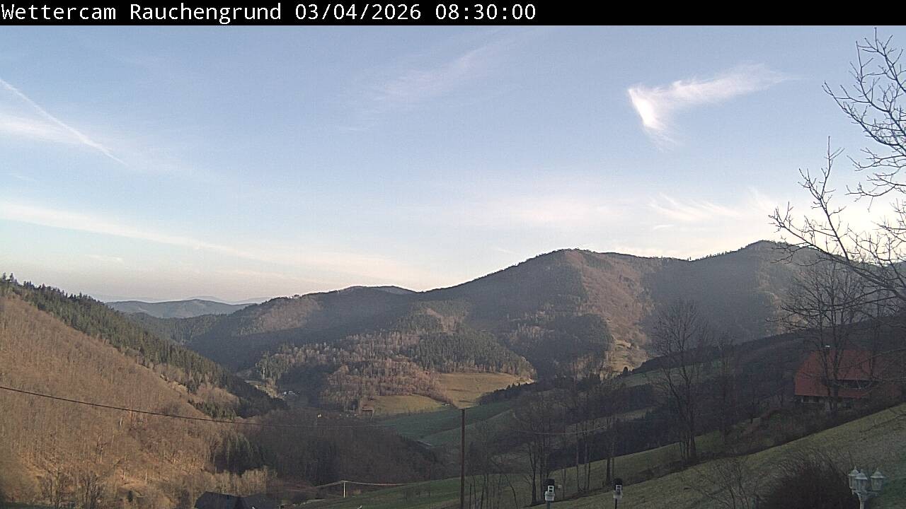 Archiv Foto Webcam Elzach