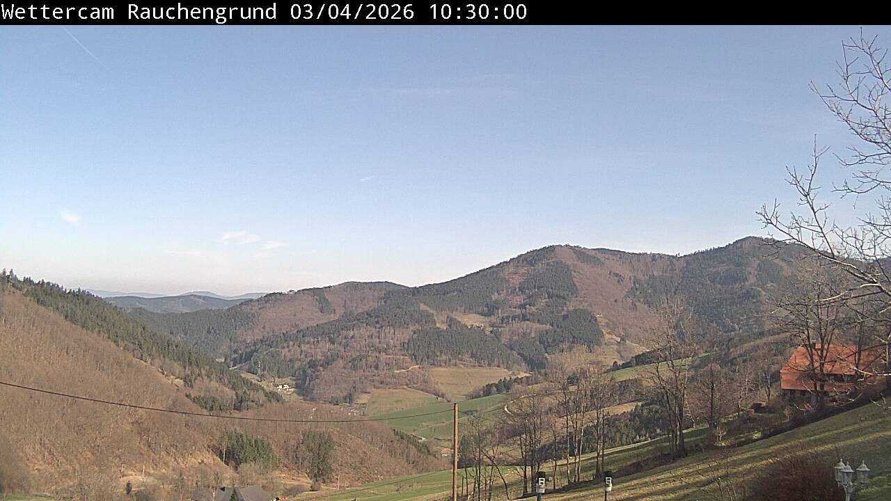 Archiv Foto Webcam Elzach