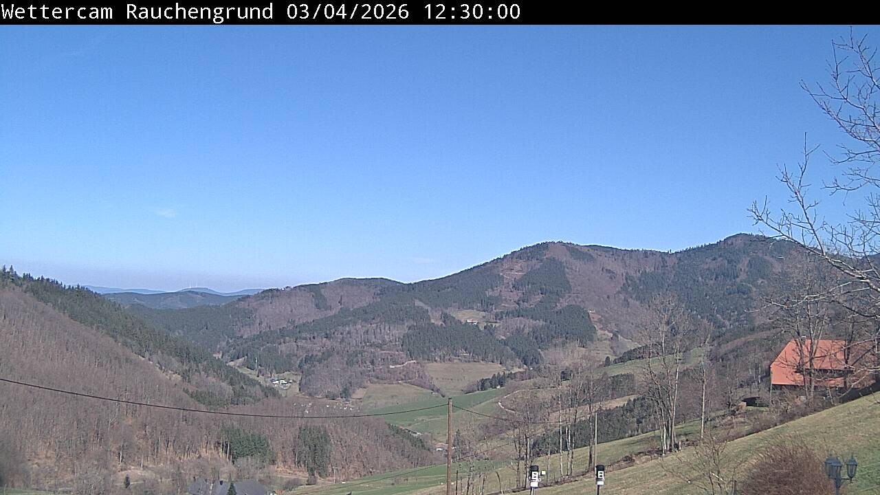 Archiv Foto Webcam Elzach