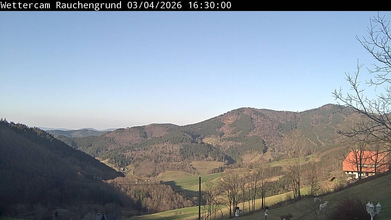 Archiv Foto Webcam Elzach